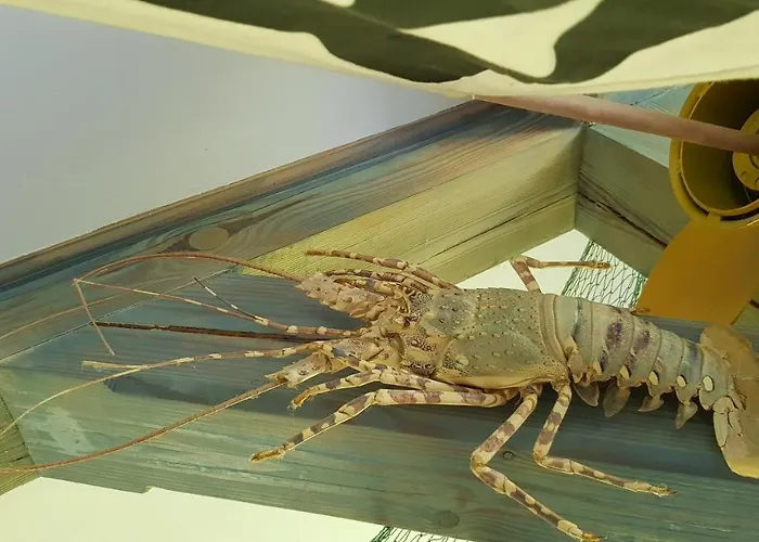 Marina House 160m2 Сasa de vacaciones *